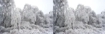 Ливневый снег на ваших обоях: выбирайте изображение и формат