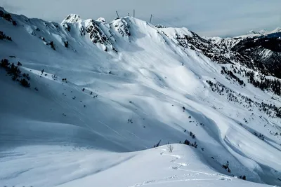 Ливневый снег на фотографиях: вся красота зимней природы