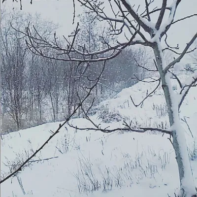 Фотографии ливневого снега, чтобы ощутить холод и волшебство