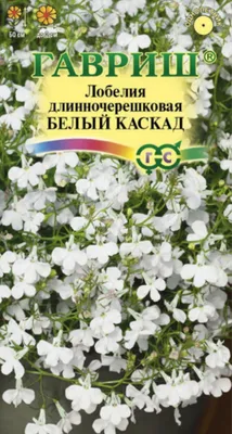 Купить Лобелия Каскад смесь недорого по цене 32руб.|Garden-zoo.ru