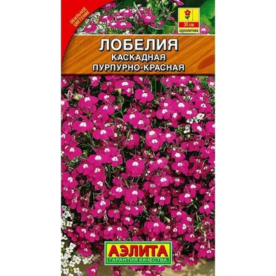 Цветы Лобелия Каскад, смесь (0,1г) - купить по выгодным ценам в Москве и с  доставкой по России