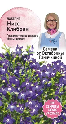 Лобелия Мисс Клибран 0,03 г