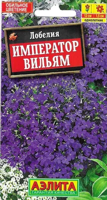 Семена Цветов Лобелия Синия – купить в интернет-магазине OZON по низкой цене