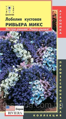 Отзыв о Семена Аэлита Лобелия ампельная \"Сапфир\" | Уникальное украшение  вашего сада