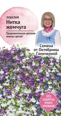 семена лобелии купить с доставкой по почте или курьером - широкий  ассортимент с ценами, фото