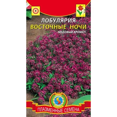 Скачать бесплатно фото Лобулярии в разных форматах