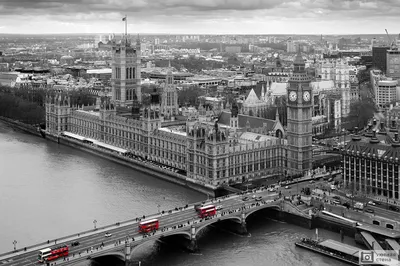 Фотообои \"Черно-белый аэрофотоснимок Лондона с красными автобусами\" - Арт.  070045 | Купить в интернет-магазине Уютная стена
