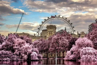 Лондон весной фото фотографии