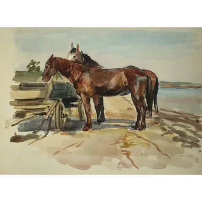 Портрет темной лошадки стоковое изображение. изображение насчитывающей  сторона - 125824327