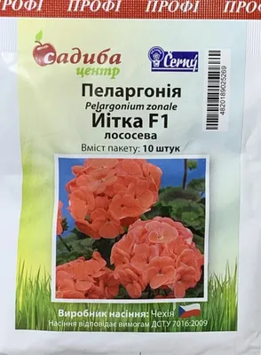 Пеларгония зональная светло-лососевая от производителя. Pelargonium Zonale  Savannah Light Salmon купить оптом и в розницу.