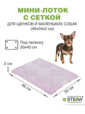 Лоток для собак и кошек большой с бортом Шурум-Бурум туалет для собак с  сеткой пластиковый - купить с доставкой по выгодным ценам в  интернет-магазине OZON (165102894)