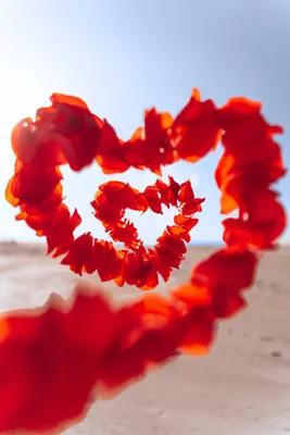 3 Kinds of Love (Session 8 – 1 Corinthians 13:1-13) - Explore the Bible