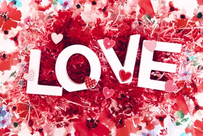1K+ Falling In Love Pictures | Download Free Images on Unsplash