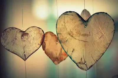 Limerence vs. Love: What's the Difference?