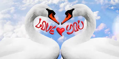 The Meaning of Love and Its Bittersweet Nature | Dr. Paul Wong