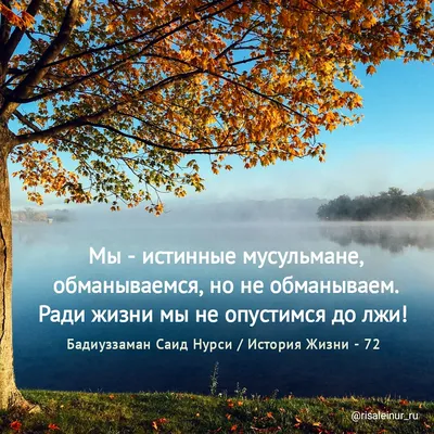 ▪️ Маленькая ложь рождает большое недоверие. — Арабская поговорка :  📚Напоминание верующим📚 ════════ ❁✿❁ ════════ Посланник Аллаhа ﷺ… |  Instagram