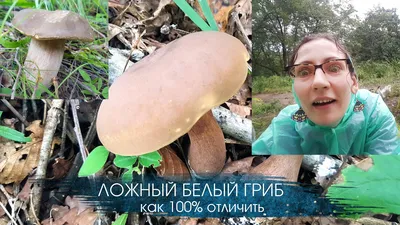 Ложный белый гриб | ВКонтакте