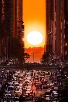 Манхэттенхендж и правила выживания в Нью-Йорке – Elegant New York