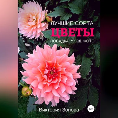 Георгины. Лучшие сорта, Виктория Зонова – скачать книгу fb2, epub, pdf на  ЛитРес