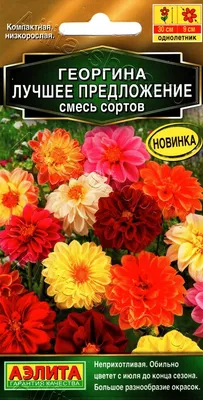 Как различают Георгины? Обзор видов и сортов!