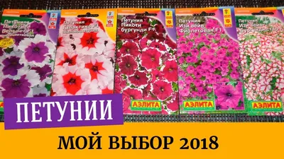 Все разновидности петуний. Лучшие сорта петуний | Интернет магазин Аэлита