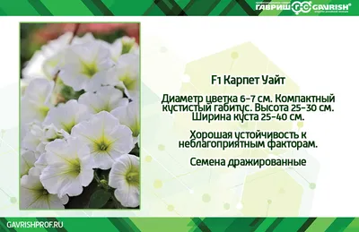 Семена петунии оптом в Новосибирске - АГРО СЕМЕННАЯ КОМПАНИЯ