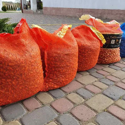 Цены на репчатый лук в Петербурге выросли почти на 70% с ноября 2022 года