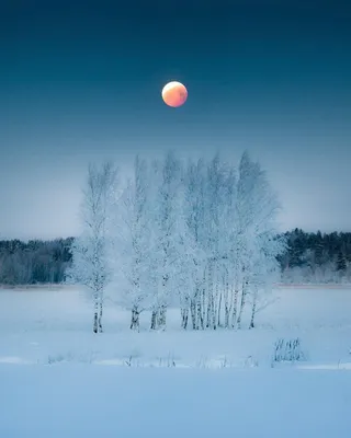 Луна зимой (64 фото) - 64 фото