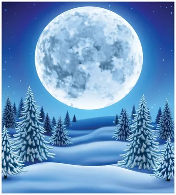 Луна в зимнем лесу - 75 фото