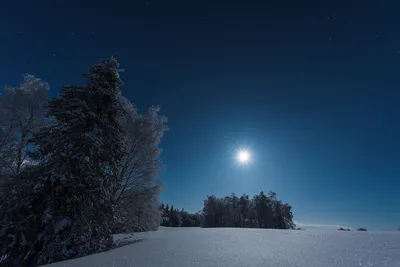 Фото Огромная полная луна над хвойными деревьями зимой