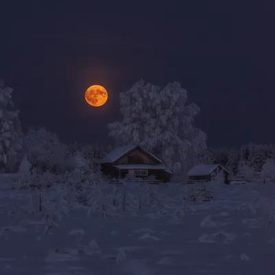 Картинки зима, луна, небо, космос, голубые тона, деревья в изморози, птицы  - обои 1920x1080, картинка №6786