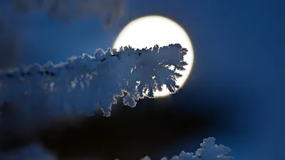 Луна зимой фотография автора swetikp4elka фото номер 125619 фотка на  ФотоПризер