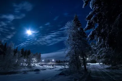 Удивительная луна зимой! 🌛❄🌛🌲🌛❄🌲❄🌜🌲🌜❄ #удивительныефото  #красивыефото #amazingphotos #beautiful #красивыймир #необычныймир… |  Instagram