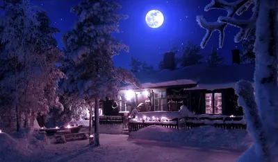 Скачать обои Луна зимой, Небо, Ночь, Луна, Зима, Деревья в снегу, Снег в  разрешении 720x1280 на рабочий стол