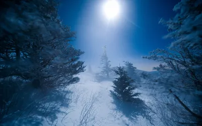 Пазл большая луна зимой - разгадать онлайн из раздела \"Картины\" бесплатно