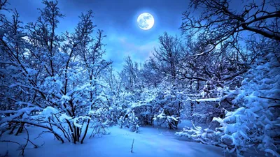 Зима, огромная детализированная луна …» — создано в Шедевруме