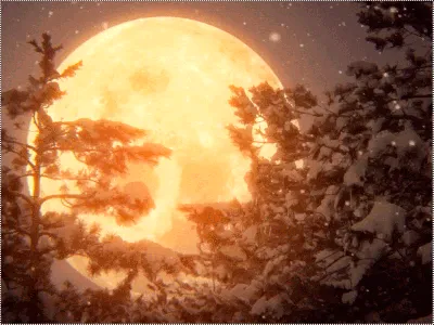 Луна зима лес - 71 фото