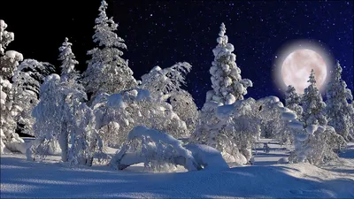 Картинки луна зимой (70 фото) » Картинки и статусы про окружающий мир вокруг