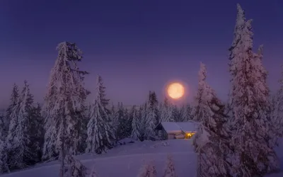 Синяя Ночь Луна Зима Свет - Бесплатное фото на Pixabay - Pixabay