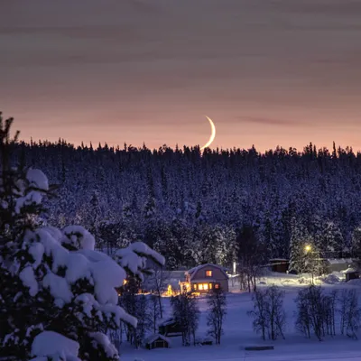 Гигантская Луна и светящиеся деревья: как будет выглядеть Челябинск зимой  2023