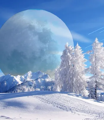картинки : дерево, филиал, снег, холодно, зима, туман, утро, атмосфера,  Погода, Луна, полнолуние, Лес, Замораживание, Атмосферное явление 4272x2848  - - 894856 - красивые картинки - PxHere