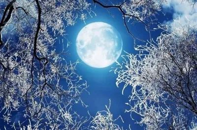 Sabbath Black on X: \"#ночь #луна #зима #лес #озеро #природа #природаурала  #полнолуние #nature #lake #forest #winter #moon #night #fullmoon  https://t.co/DnOWpCFl8b https://t.co/LpetVAgoug\" / X