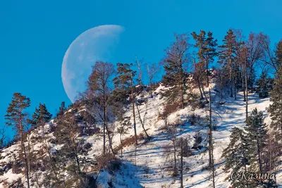 Картинки зимняя ночь луна (65 фото) » Картинки и статусы про окружающий мир  вокруг