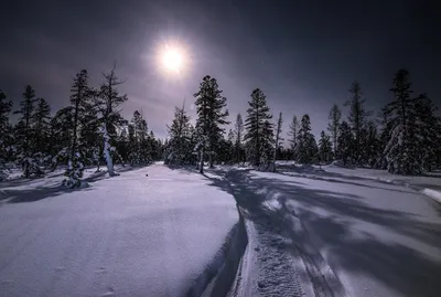 Зимняя Луна Зима - Бесплатное фото на Pixabay - Pixabay