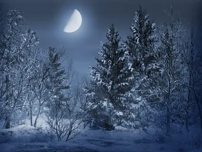 Зимний вечер и восход Луны | Записки в лохмотике | Дзен