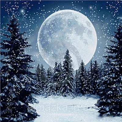 Луна в зимнем лесу - 75 фото