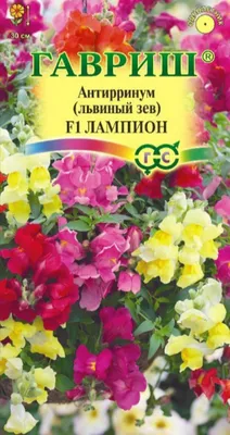 Антирринум (Львиный зев) Лампион F1 5 шт. купить оптом в Томске по цене  23,1 руб.