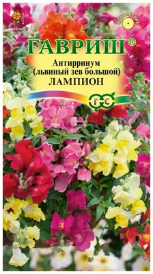 Семена Гавриш Львиный зев ампельный Лампион 5 шт. — купить в  интернет-магазине по низкой цене на Яндекс Маркете