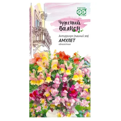 Լանդշաֆտ - Антирринум (Львиный зев) ампельный Амулет, 5шт, коробка