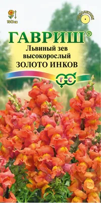 ЛЬВИНЫЙ ЗЕВ, АНТИРРИНУМ - mydobro seeds